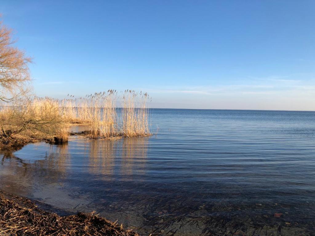 Seeblick - Insel Usedom